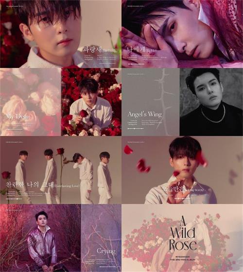 1650971144162081.jpg 厉旭迷你3辑《A Wild Rose》Highlight Medley截图.jpg