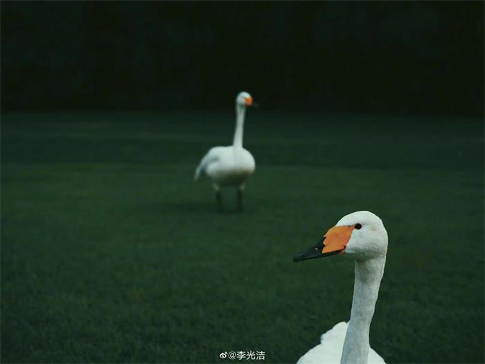 图片12.jpg