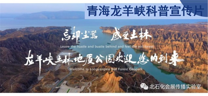 图片11.jpg