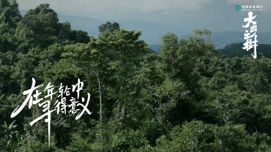 一棵树

描述已自动生成